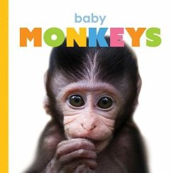 Baby Monkeys - Riggs, Kate