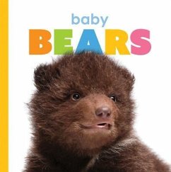 Baby Bears - Riggs, Kate