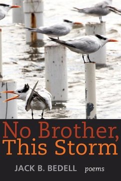 No Brother This Storm - Bedell, Jack B