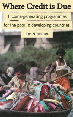 Where Credit Is Due: Income-Generating Programmes in Developing Countries - Remenyi, Joe