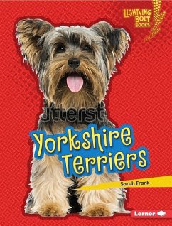 Yorkshire Terriers - Frank, Sarah