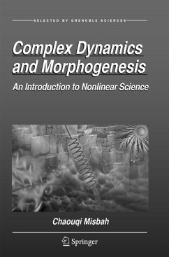 Complex Dynamics and Morphogenesis - Misbah, Chaouqi