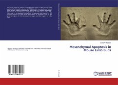 Mesenchymal Apoptosis in Mouse Limb Buds