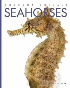 Seahorses - Bodden, Valerie