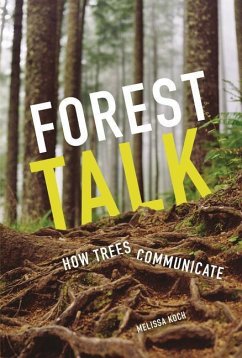 Forest Talk - Koch, Melissa