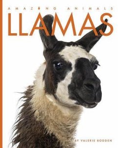 Llamas - Bodden, Valerie