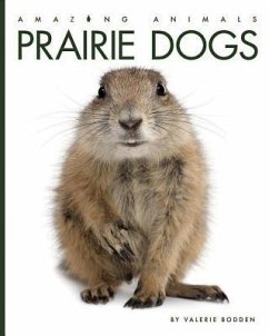 Prairie Dogs - Bodden, Valerie