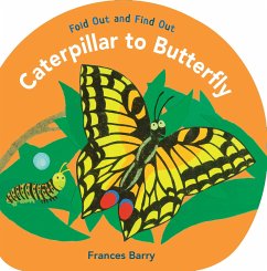 Caterpillar to Butterfly: Fold Out and Find Out - Barry, Frances