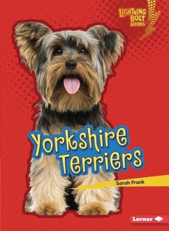 Yorkshire Terriers - Frank, Sarah