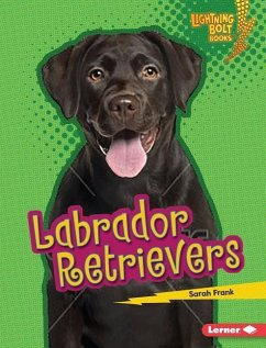Labrador Retrievers - Frank, Sarah