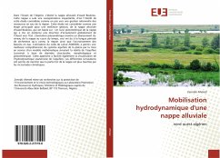 Mobilisation hydrodynamique d'une nappe alluviale - Ahmed, Zennaki