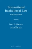 International Institutional Law