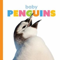 Baby Penguins - Riggs, Kate