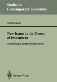 New Issues in the Theory of Investment (eBook, PDF)