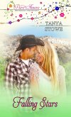 Falling Stars (eBook, ePUB) Falling Stars (eBook, ePUB)