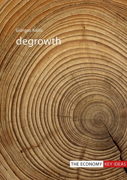 Degrowth (eBook, ePUB)
