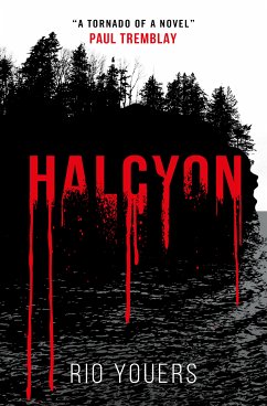 Halcyon (eBook, ePUB) - Youers, Rio