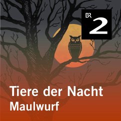 Tiere der Nacht: Maulwurf (MP3-Download) - Wolfrum, Silke