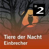 Tiere der Nacht: Einbrecher (MP3-Download)