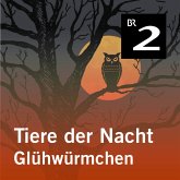 Tiere der Nacht: Glühwürmchen (MP3-Download)