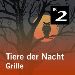 Tiere der Nacht: Grille (MP3-Download) - Wolfrum, Silke