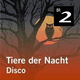 Tiere der Nacht: Disco (MP3-Download)