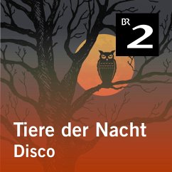 Tiere der Nacht: Disco (MP3-Download) - Wolfrum, Silke