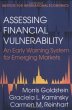 Assessing Financial Vulnerability... - Bild 1