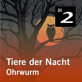Tiere der Nacht: Ohrwurm (MP3-Download)