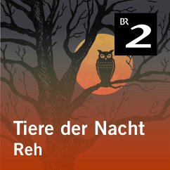 Tiere der Nacht: Reh (MP3-Download) - Wolfrum, Silke