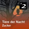 Tiere der Nacht: Zucker (MP3-Download) - Bild 1