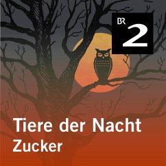 Tiere der Nacht: Zucker (MP3-Download) - Wolfrum, Silke