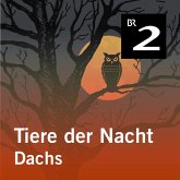 Tiere der Nacht: Dachs (MP3-Download)