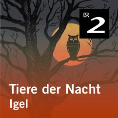 Tiere der Nacht: Igel (MP3-Download) - Wolfrum, Silke