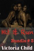 Hit & Run Bundle #3 (eBook, ePUB)