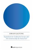 Kapitalistische Großmacht Europa oder Die Gemeinschaft der Konzerne? (eBook, ePUB)