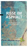 Risse im Asphalt (eBook, ePUB)