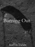 Burning out (eBook, ePUB)