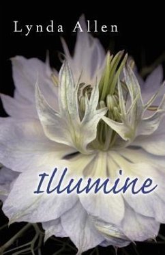Illumine (eBook, ePUB) - Allen, Lynda