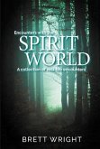 Encounters with the Spirit World (eBook, ePUB)