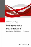 Pädagogische Beziehungen (eBook, ePUB)