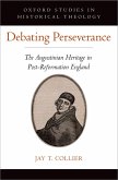 Debating Perseverance (eBook, ePUB)