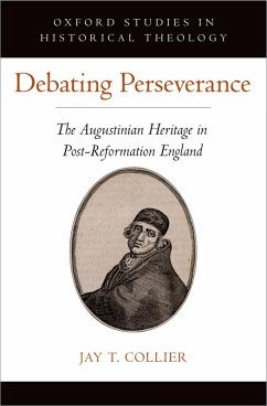 Cover Debating Perseverance (eBook, ePUB)