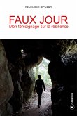 Faux jour (eBook, ePUB)