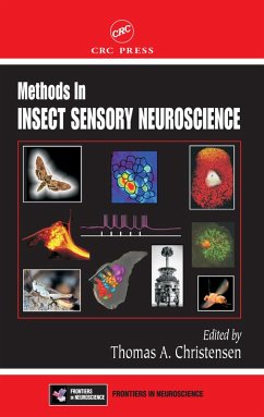 Cover Methods in Insect Sensory Neuroscience (eBook, PDF)