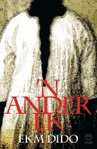 'n Ander ek (eBook, PDF)