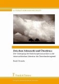 Zwischen Sehnsucht und Überdruss (eBook, PDF)