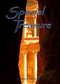 Special Treasure (eBook, ePUB)