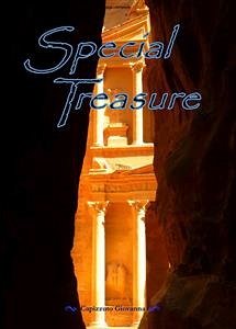 Special Treasure (eBook, ePUB) - Capizzuto, Giovanna