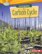 Investigating the Carbon Cycle (eBook,... - Bild 1